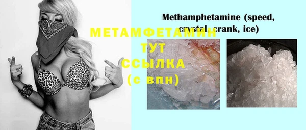 крисы Богородицк