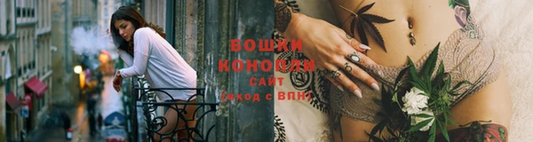 крисы Богородицк