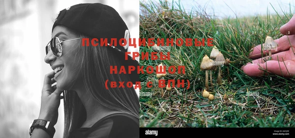 крисы Богородицк