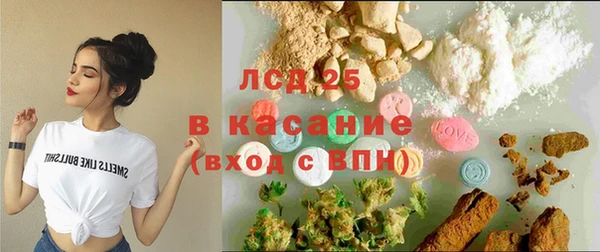 крисы Богородицк