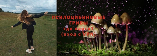 крисы Богородицк