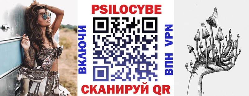 Галлюциногенные грибы Psilocybe  mega   Видное 